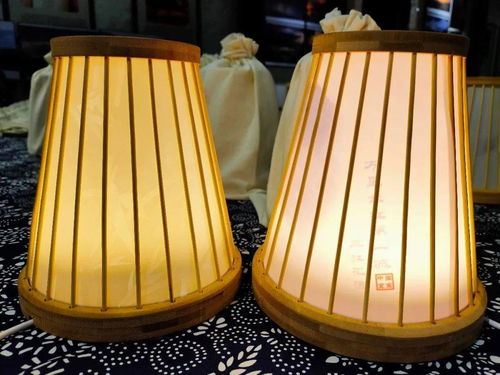 宜賓造智能竹燈發(fā)布 科技文創(chuàng)產(chǎn)品新玩法，燈具塑件引領(lǐng)未來(lái)